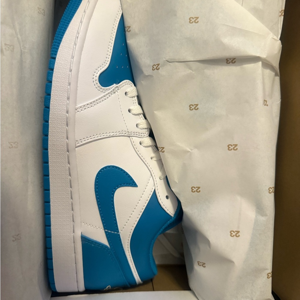 Jordan White and Blue Sneakers